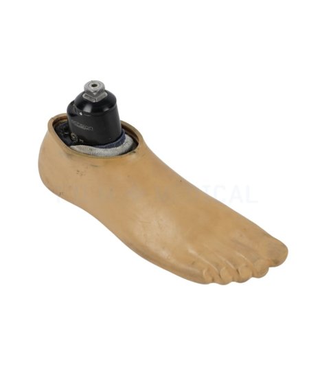 Prosthetic Foot